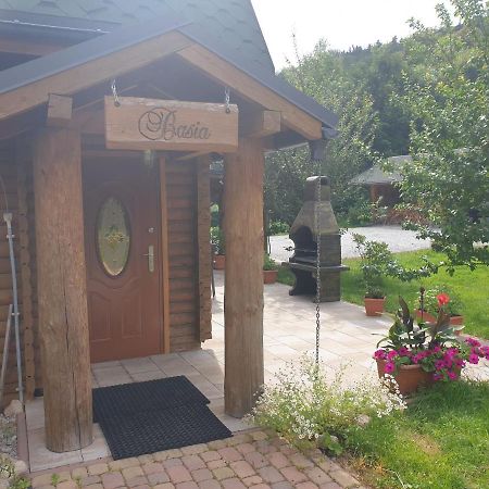 Sobieszow Apartament Basia Zielone Wzgorze -Willa Tosia 外观 照片