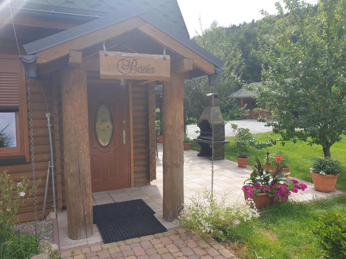 Sobieszow Apartament Basia Zielone Wzgorze -Willa Tosia 外观 照片