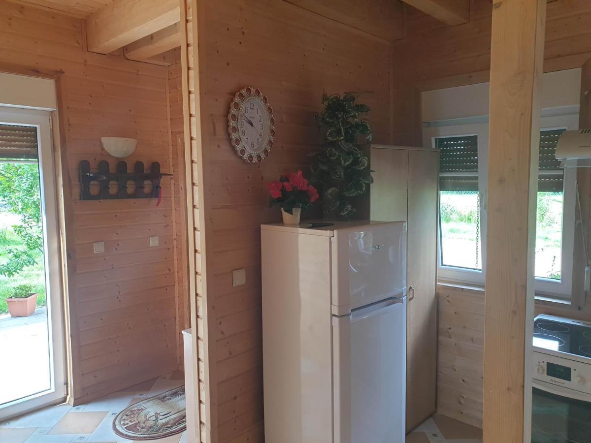 Sobieszow Apartament Basia Zielone Wzgorze -Willa Tosia 外观 照片